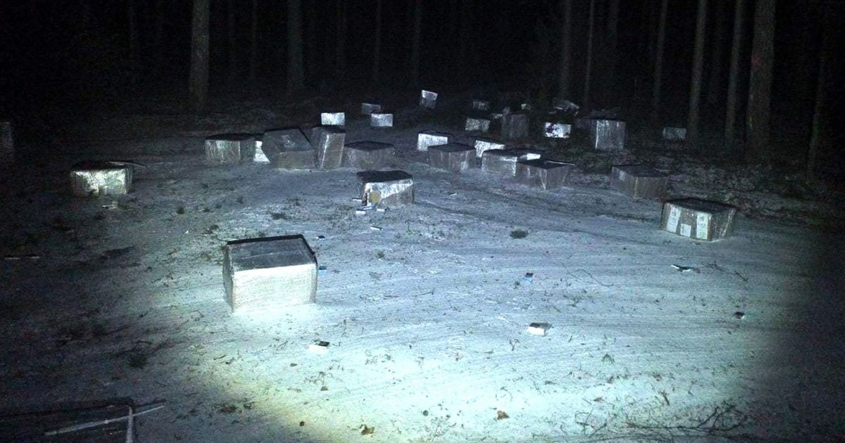 Lazdijų rajone pasieniečiai aptiko 100 dėžių baltarusiškų cigarečių - Respublika.lt