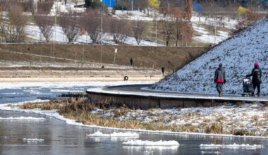 Koks šiemet bus oras, tiksliausiai pasakys Šv. Kazimieras ir jūsų katinas - Respublika.lt