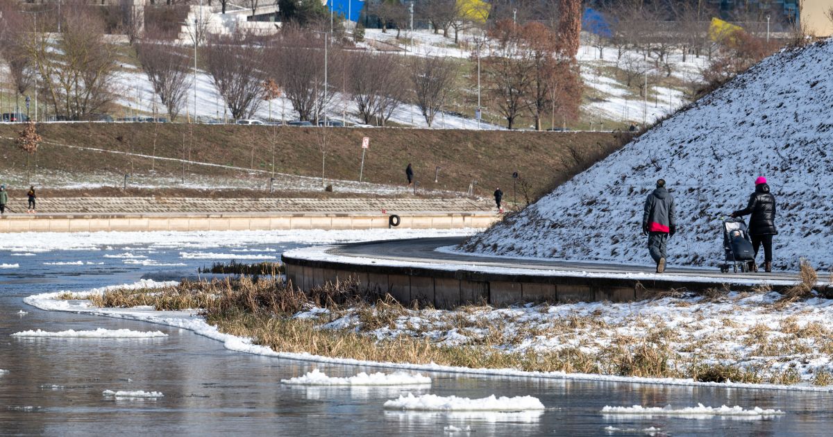 Koks šiemet bus oras, tiksliausiai pasakys Šv. Kazimieras ir jūsų katinas - Respublika.lt