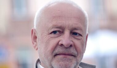 Saulius VARNAS: Vienmandatininkai - paskutinė Lietuvos viltis? - Respublika.lt