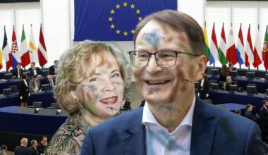 Rasa Juknevičienė ir Dainius Žalimas triumfuoja: Lietuva apšmeižta - Respublika.lt