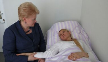 Buvusios Ukrainos premjerės Julijos Tymošenko partijos biure atlikta krata - Respublika.lt