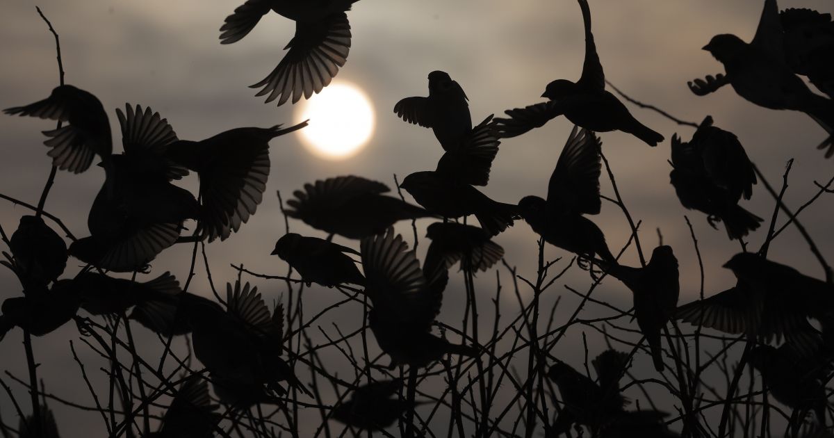 Sausio 24 d. vardadieniai ir kitos įdomybės - Respublika.lt