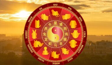 Šie kinų Zodiako ženklai netrukus sulauks ilgai laukto atlygio: kas jų laukia