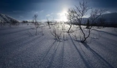 -40 laipsnių šaltis