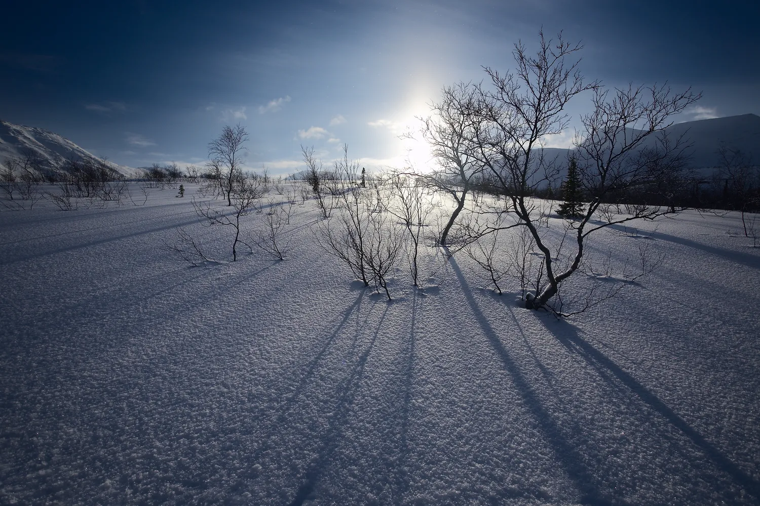 -40 laipsnių šaltis