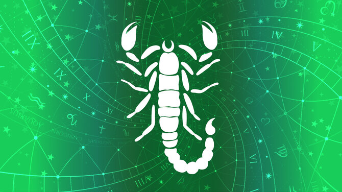 15min nuotr./Skorpionas