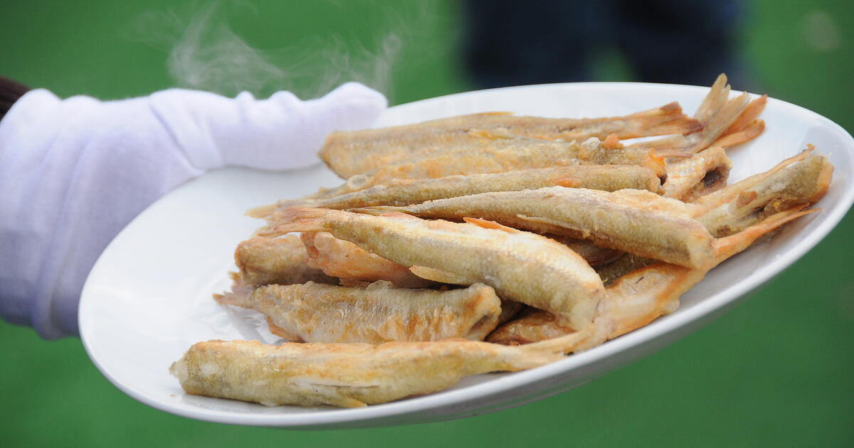 Į Palangą stintos keliaus net iš Suomijos