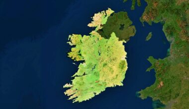 Į Vilnių iš Airijos deportuota 16 Lietuvos piliečių, juos lydėjo 150 pareigūnų