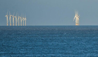 Darbėnai – kaip laimėję aukso puodą, po milijoną – kasmet
