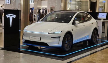 Kodėl „Teslos“ elektromobilių durų rankenos pradėjo šiurpinti pasaulį