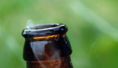 Traukiantis alaus paklausai, vadovo postą palieka šešerius metus „Heineken“ vadovavęs D. van den Brinkas