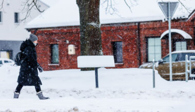 Informacija mokiniams ir jų tėvams: ką turi rodyti termometras, kad eiti į mokyklą nereikėtų? - 15min.lt