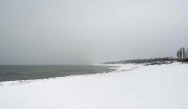 NASA palydovai užfiksavo, kad ketvirtadalį jūros jau sukaustė ledas