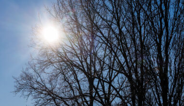 Artėjanti naktis gali tapti šalčiausia per 14 metų: sinoptikai neatmeta speigo ir iki –34 laipsnių