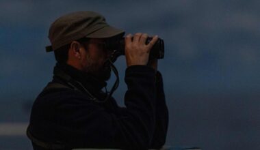 Vokietijos žvalgyba perspėjo apie didėjančias kibernetines grėsmes iš užsienio