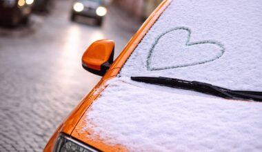 Valentino diena kitaip: lietuviai prisipažino, kuriai automobilio markei atiduotų širdį