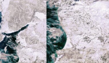 Baltijos jūroje – per visą stebėjimų istoriją neregėtas reiškinys