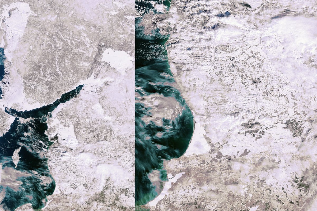 Baltijos jūroje – per visą stebėjimų istoriją neregėtas reiškinys