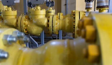 „Amber Grid“: pasiektas dar vienas suvartotų gamtinių dujų rekordas