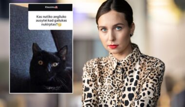 Pamačiusi, ką su katinu padarė lietuvės influencerės šeima, Fausta Marija neapsikentė