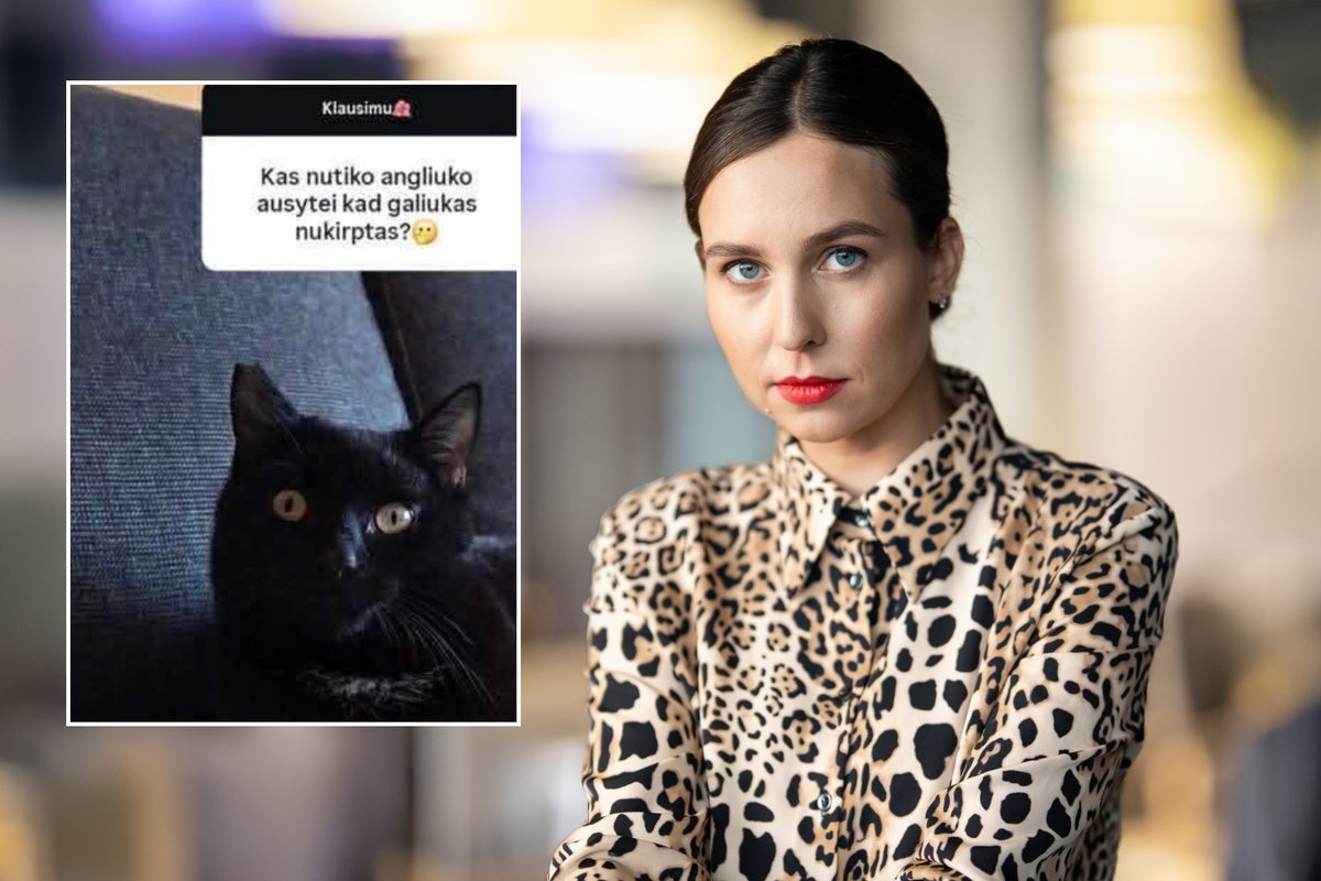 Pamačiusi, ką su katinu padarė lietuvės influencerės šeima, Fausta Marija neapsikentė