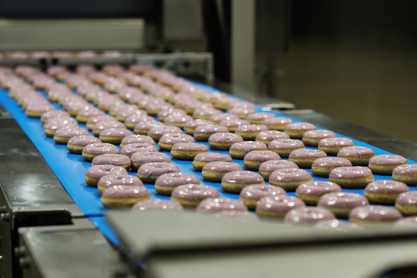 Mantinga stiprina tarptautiškumą: nepriklausomas valdybos narys iš Nyderlandų