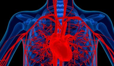 Lietuvą pasiekė naujos kartos mechaniniai aortos vožtuvai