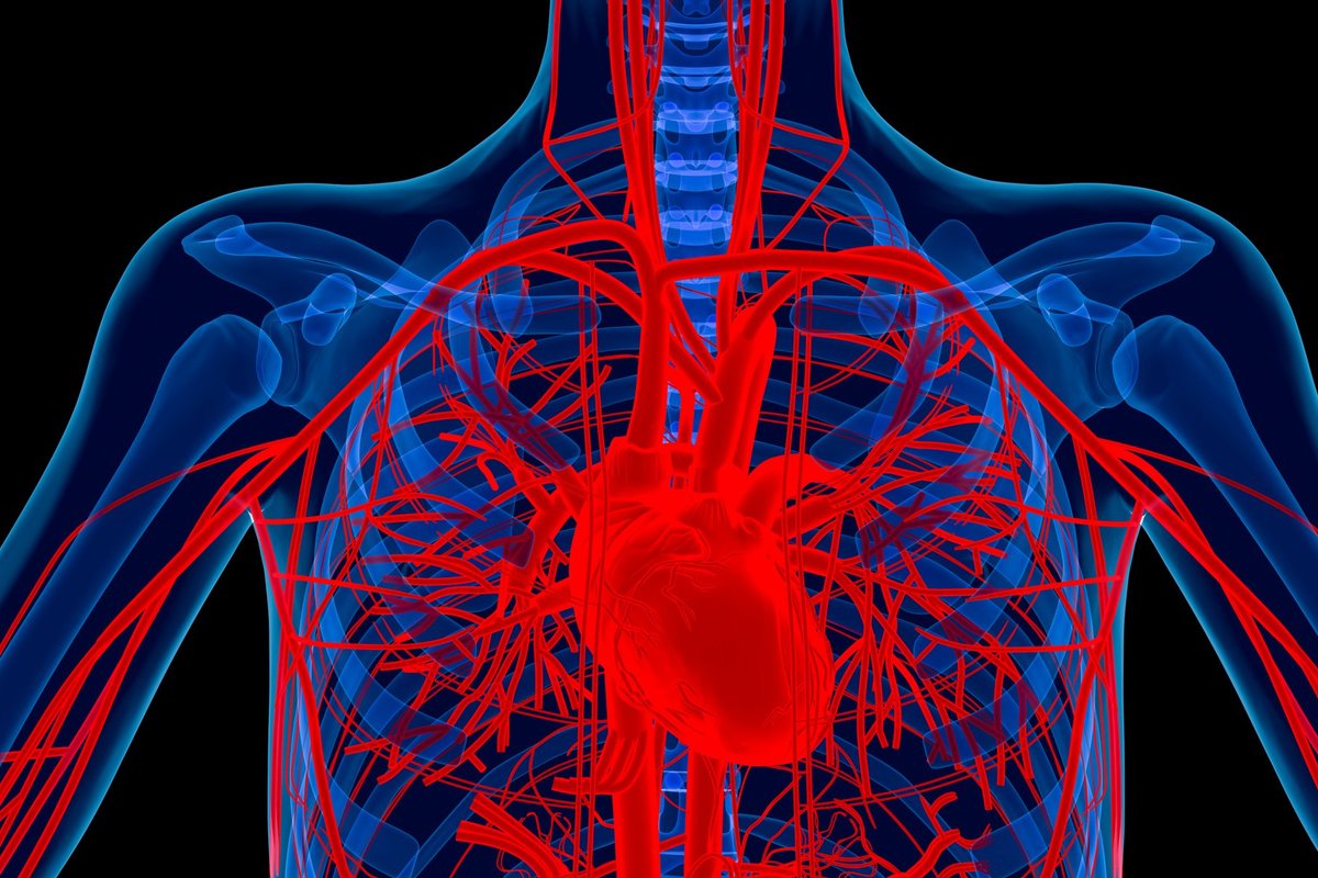 Lietuvą pasiekė naujos kartos mechaniniai aortos vožtuvai