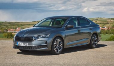 „Škodos“ vadovas rėžė tiesiai: dauguma Kinijos gamintojų yra pasmerkti žlugti