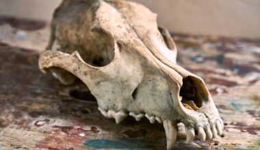 Palaikus ištyrę mokslininkai nustatė, ką anksčiau valgė europiečiai: šiurpu net pagalvoti