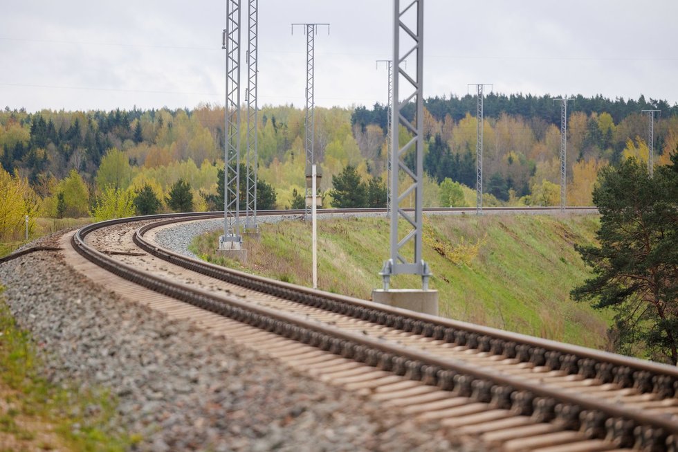 Geležinkelis (Erikas Ovčarenko/ BNS nuotr.)