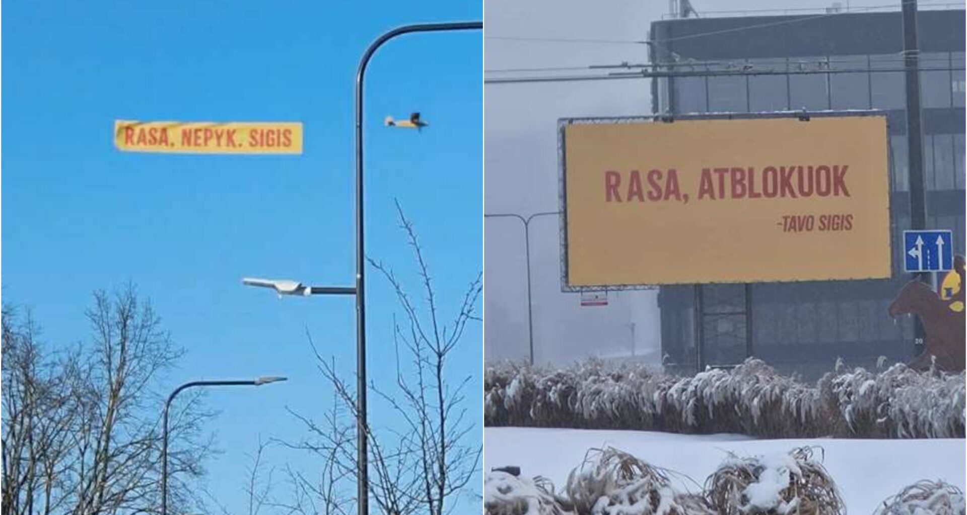 Istorija tęsiasi – dabar visų žvilgsniai į dangų: Rasa dar Sigiui neatleido!