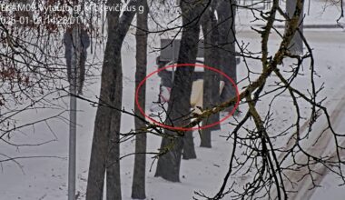 Šiaulių miesto savivaldybė skelbia 2026 m. sausio mėnesio netvarkingiausias komunalinių atliekų konteinerių aikšteles