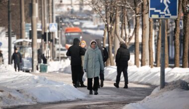 Mauricas – apie kainų „šuoliuką“: tai būtų lyg tramplinas infliacijai