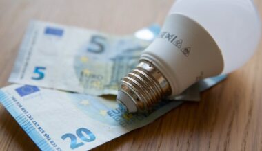 Žinia dėl elektros kainų: pirmadienį laikysis pike