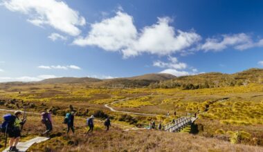Dirbtinis intelektas apgavo turistus: rekomenduotos vietos nėra