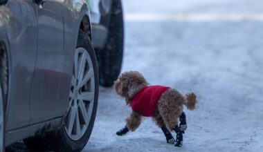 Orai: šalčio bus mažiau, tačiau siautės pūga