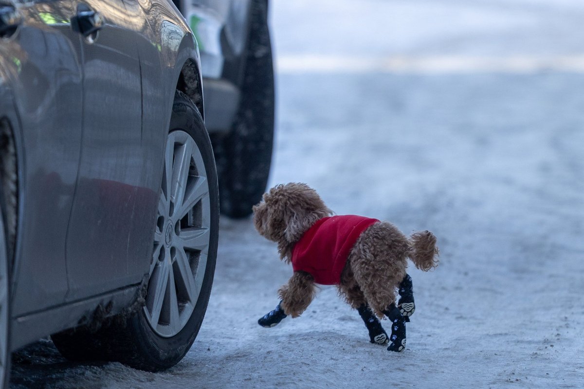 Orai: šalčio bus mažiau, tačiau siautės pūga