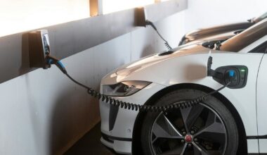 Nyderlandų pamoka Europai: elektromobilių bumas baigėsi, rinka gręžiasi į hibridus