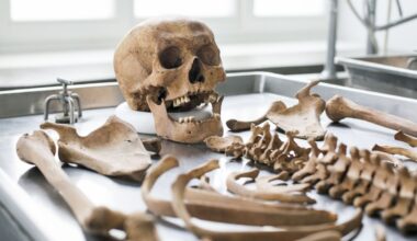 Vilkaviškio rajone apleistame name aptiktas skeletas - Delfi