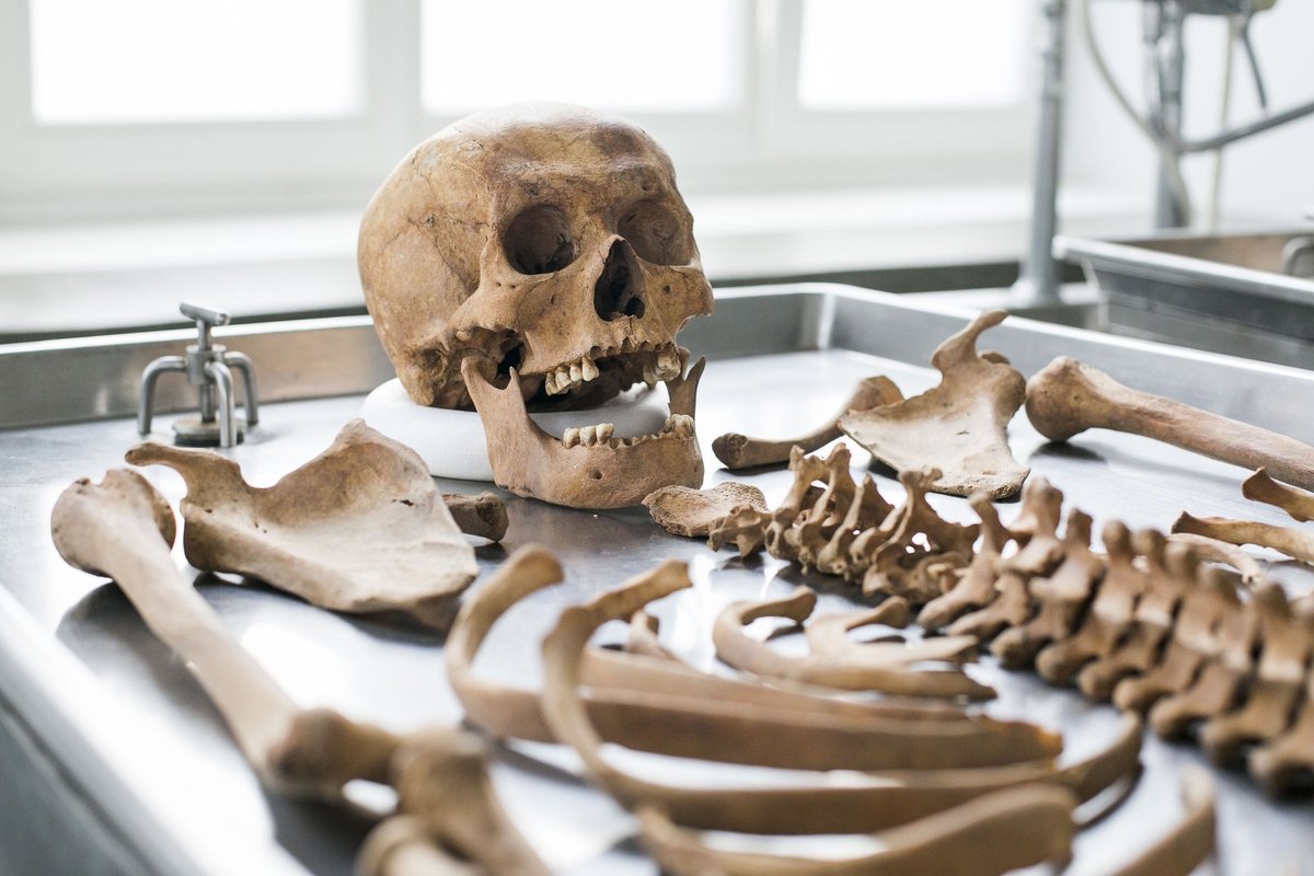 Vilkaviškio rajone apleistame name aptiktas skeletas - Delfi