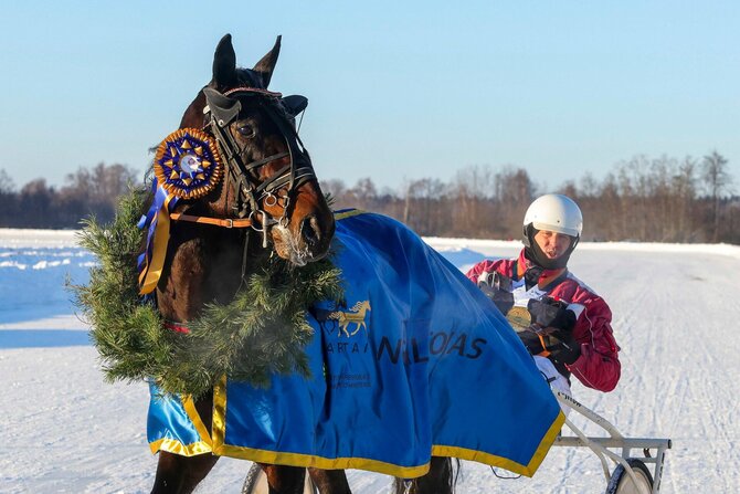 Organizatorių nuotr./Egidijaus Gudonio ir žirgo Brave Sensation duetas