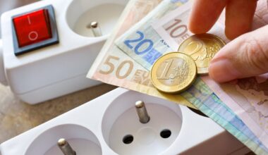 „Litgrid“: elektros kaina dėl besitęsiančio šalčio išaugo 24 proc.