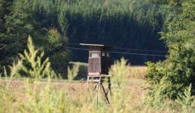 Seime bręsta pokyčiai dėl gyventojų saugumo