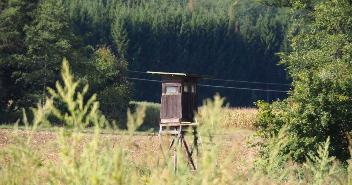 Seime bręsta pokyčiai dėl gyventojų saugumo