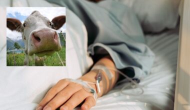 Dukros vestuvių metu moterį ištiko tikras siaubas: rėkiau iš skausmo | Gyvenimas