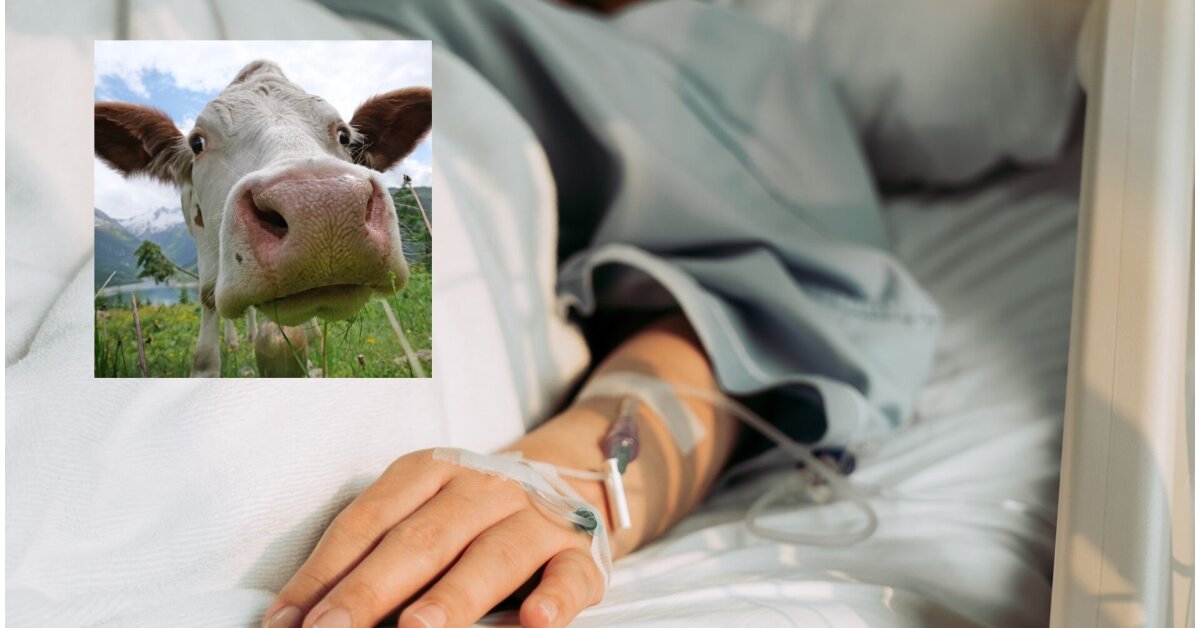 Dukros vestuvių metu moterį ištiko tikras siaubas: rėkiau iš skausmo | Gyvenimas