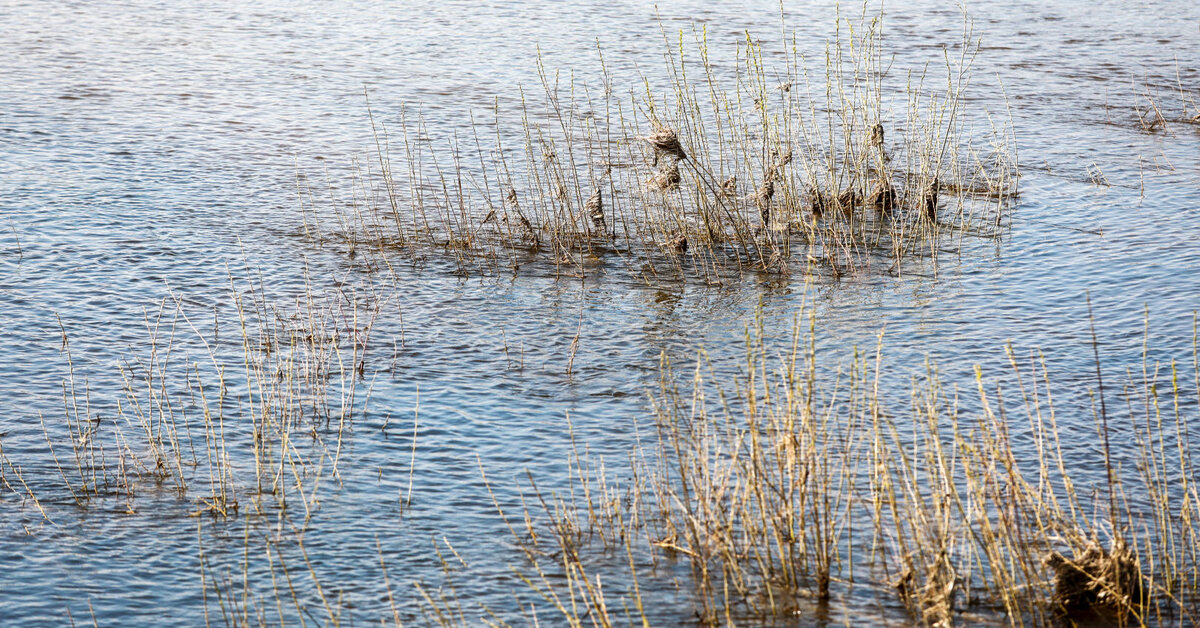 Kaune nuo tilto nušoko vaikinas, jis išvežtas į ligoninę