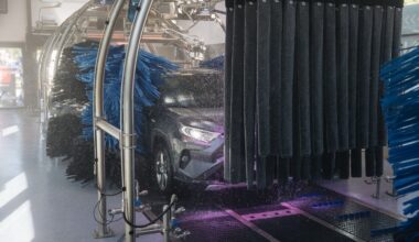 Ginčas dėl „ProBro“ plovyklų: investuotojai skaičiuoja milijoninius nuostolius, „Švaros broliai“ kaltinimus atmeta